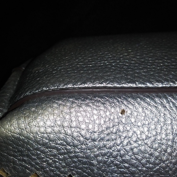 Silver Laser Cut TOTE Gold Inside - Picture 8 of 8